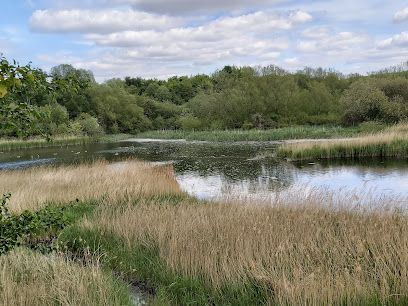 Carlton Marsh