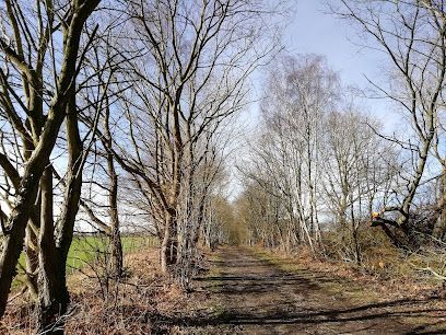 South Yorkshire Forest